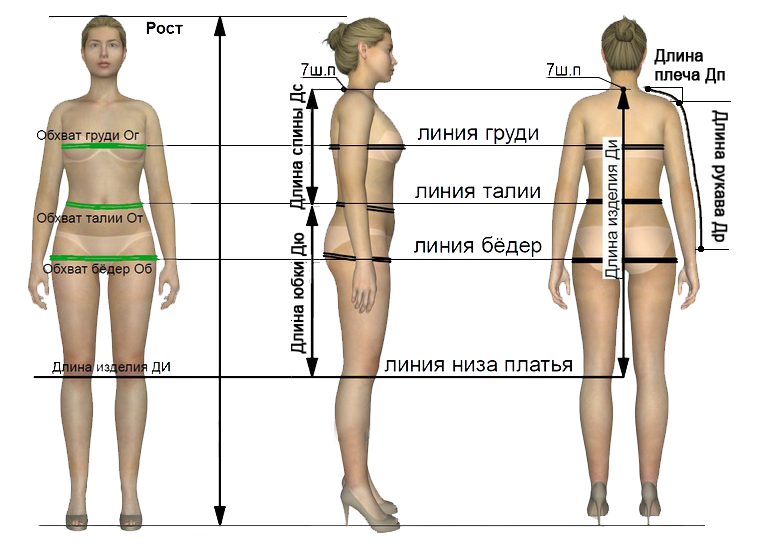 Как Правильно Снять Мерки Фото